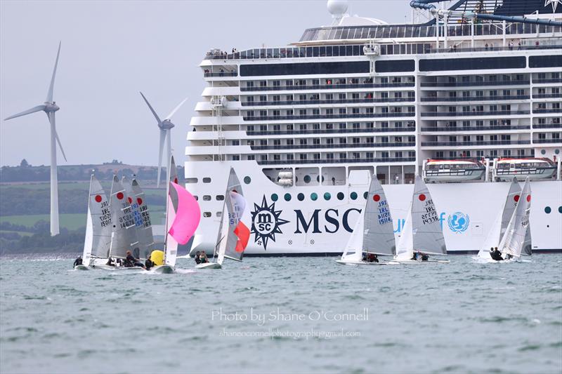 The fleet during the Fireball Munster Championship 2026 at Monkstown Bay - photo © Shane O'Connell