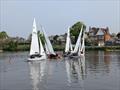 Tamesis Firefly Elizabeth Cup and Junior Cup 2025