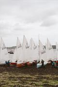 Firefly South Western Championship at Restronguet  © Ben Lumby & Ted Ashworth