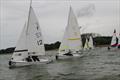 Emma Nettleship Regatta at Bough Beech