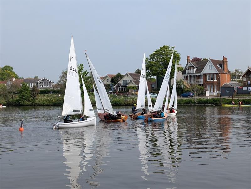 Tamesis Firefly Elizabeth Cup and Junior Cup 2025 photo copyright Jo Mason & Matt Dalton taken at Tamesis Club and featuring the Firefly class
