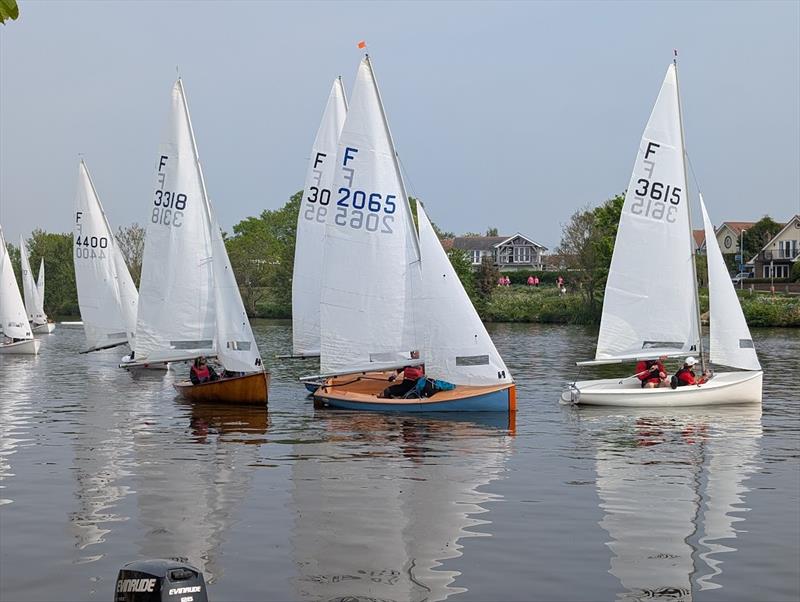Tamesis Firefly Elizabeth Cup and Junior Cup 2025 photo copyright Jo Mason & Matt Dalton taken at Tamesis Club and featuring the Firefly class