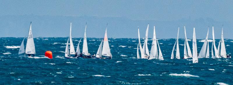 Firefly Nationals 2025 at Lyme Regis photo copyright David Beer taken at Lyme Regis Sailing Club and featuring the Firefly class