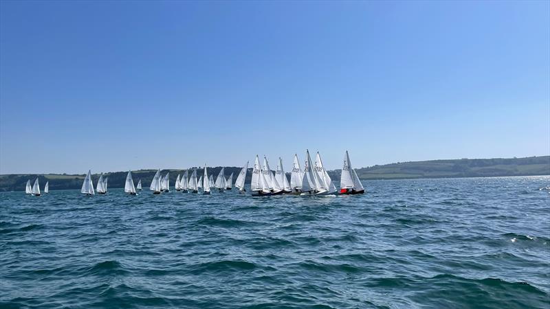 A busy leeward mark during the Firefly South Western Championship at Restronguet - photo © Liz Evans