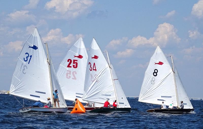 Fish flew this weekend on Pensacola Bay… Fish Class sailboats that is - 2021 Fish Class World Championship Regatta photo copyright Talbot Wilson taken at Pensacola Yacht Club and featuring the Fish Class class