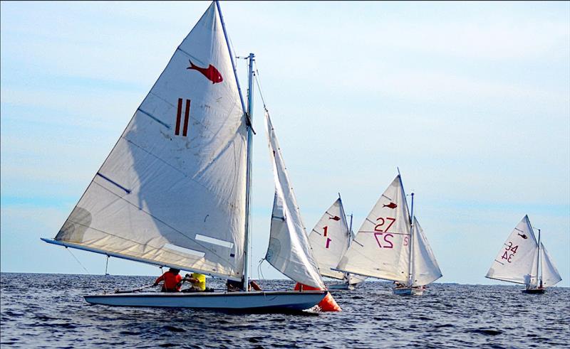 Pensacola YC Commodore Tom Pace drew the #11 boat and led from start to finish in Race 1 of the 2021 GYA Fish Class Championship in Pensacola photo copyright Talbot Wilson taken at Pensacola Yacht Club and featuring the Fish Class class