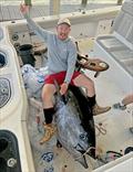 Crew on board an Invincible 46' cat land an 884 pound Atlantic Bluefin tuna - a Texas record © Catillac