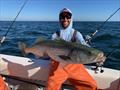 © American Sportfishing Association