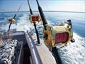 © American Sportfishing Association