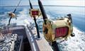 © American Sportfishing Association