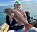 © Fisho's Tackle World Hervey Bay