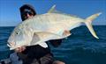 © Fisho's Tackle World Hervey Bay