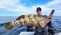 © Fisho's Tackle World Hervey Bay