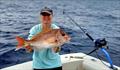 © Fisho's Tackle World Hervey Bay