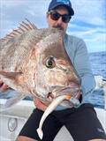 © Fisho's Tackle World Hervey Bay