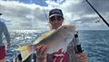 © Fisho's Tackle World Hervey Bay