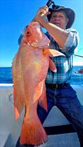 © Fisho's Tackle World Hervey Bay