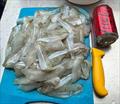 © Fisho's Tackle World Hervey Bay