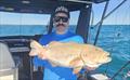 © Fisho's Tackle World Hervey Bay