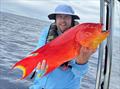 © Fisho's Tackle World Hervey Bay