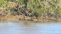 © Fisho's Tackle World Hervey Bay