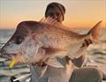 © Fisho's Tackle World Hervey Bay