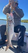 © Fisho's Tackle World Hervey Bay