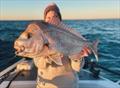 © Fisho's Tackle World Hervey Bay