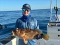 © Fisho's Tackle World Hervey Bay