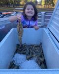 © Fisho's Tackle World Hervey Bay
