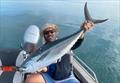 © Fisho's Tackle World Hervey Bay