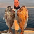 © Fisho's Tackle World Hervey Bay