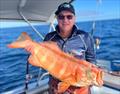 © Fisho's Tackle World Hervey Bay