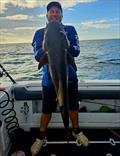 © Fisho's Tackle World Hervey Bay