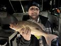© Fisho's Tackle World Hervey Bay