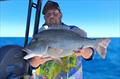 © Fisho's Tackle World Hervey Bay