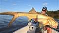 © Fisho's Tackle World Hervey Bay