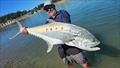 © Fisho's Tackle World Hervey Bay