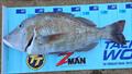 © Fisho's Tackle World Hervey Bay