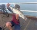 © Fisho's Tackle World Hervey Bay