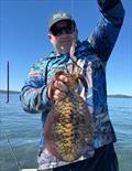 © Fisho's Tackle World Hervey Bay