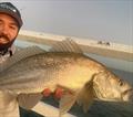 © Fisho's Tackle World Hervey Bay