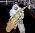 © Fisho's Tackle World Hervey Bay