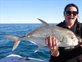 © Fisho's Tackle World Hervey Bay