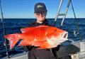 © Fisho's Tackle World Hervey Bay