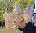 © Fisho's Tackle World Hervey Bay