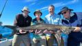 © Fisho's Tackle World Hervey Bay