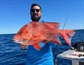 © Fisho's Tackle World Hervey Bay