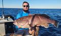 © Fisho's Tackle World Hervey Bay