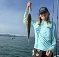 © Fisho's Tackle World Hervey Bay